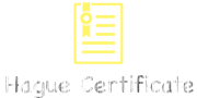 Hague Adoption Training Provides Certificates